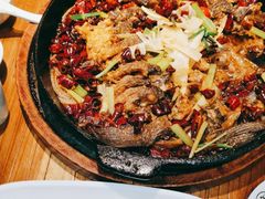 -老板恋上鱼(印象城店)