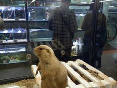 -宠物世家(仲盛世界商城店)