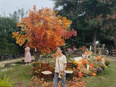 -HERRE·FARM 赫尔露营农场·团建聚会包场