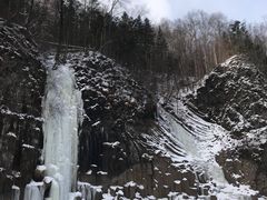 -望天鹅景区