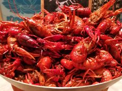 -上海龙之梦万丽酒店