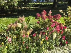 -谢尔盖圣三一大修道院