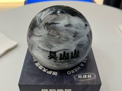 -吴山山·椰子酸奶(天河南店)