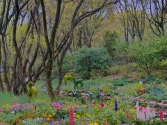 -上海共青森林公园