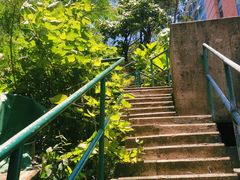 -香港大学
