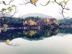 -白马涧龙池景区
