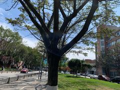 -四川大学(望江校区)
