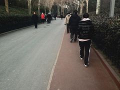 -西安市长乐公园