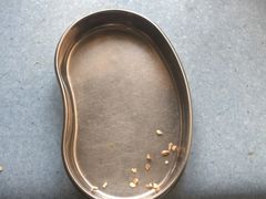 -瑞派·关忠动物医院·异宠专科·犬猫肿瘤·皮肤专科(望京店)