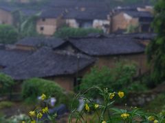 -杨家堂村