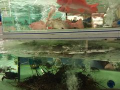 -盒马X会员店(上海森兰商都店)