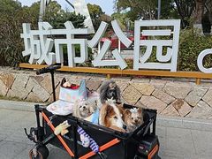 -昆山城市公园