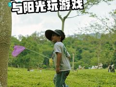 -田心森林公园