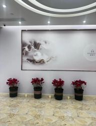 -紫琪尔胸部养护中心