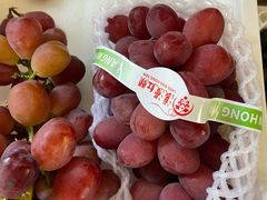 -马陆小张葡萄园农家乐