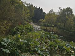 -尚贤河湿地