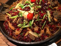 -老板恋上鱼(印象城店)