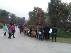 -秀丽东方