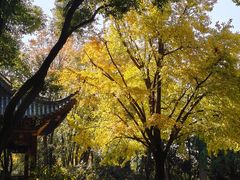 -汇龙潭