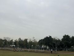 -宝安西湾红树林湿地公园