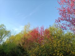 -贵阳市花溪国家城市湿地公园
