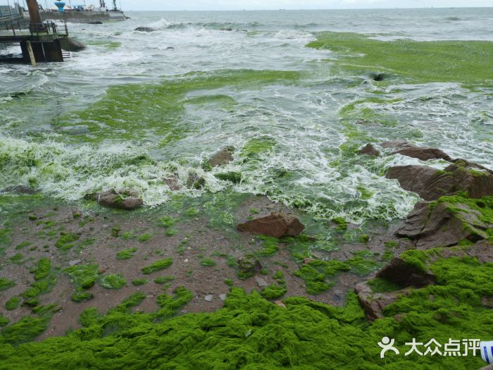 银海大世界图片