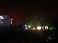 -枫花园汽车电影院(朝阳公园店)