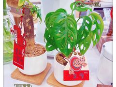 -COMPANION COFFEE小伴咖啡