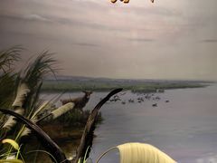 -湖南省地质博物馆