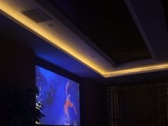 -浅深Cheersum(曹杨店)