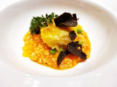 -诺莱仕游艇会