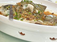 -金迎海鲜酒家(金凤凰广场店)