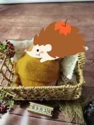 -小熊维尼高端儿童摄影(南山信和店)