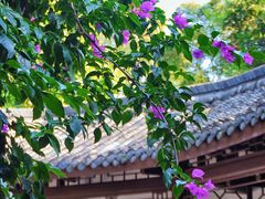 -成都杜甫草堂博物馆