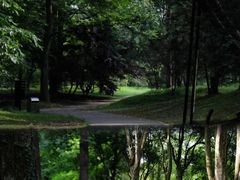 -杭州植物园