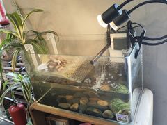 -时光花园(白鹭洲店)