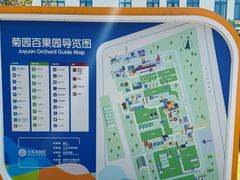 -菊园百果园