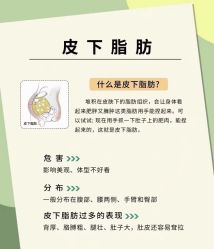 -Lily纤美·科技减脂中心