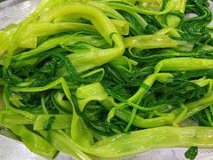 -红星光发煲仔饭(大石街店)