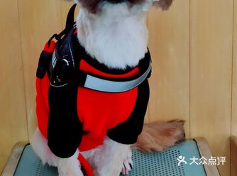 因疫情期间，响应国家号召，在家坚守阵地
