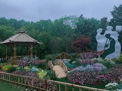 -上海共青森林公园