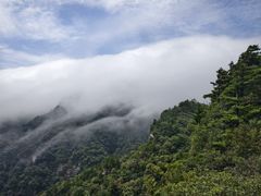 -牛背梁国家森林公园