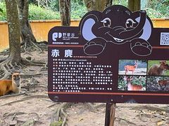 -野象谷景区