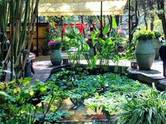 -新竹里馆·花园餐厅(兴苑路店)