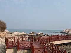 -养马岛旅游度假区