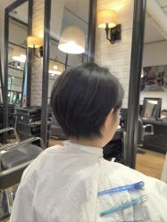 -付军剪艺