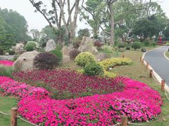 -东莞植物园