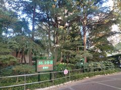 -华山儿童公园