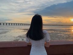 -宝安西湾红树林湿地公园