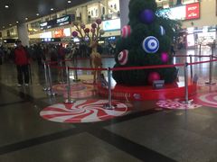 -厦门高崎国际机场-T3航站楼